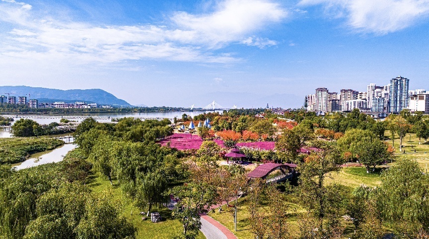 步入公園，仿佛走進(jìn)“色彩的世界”。王淦攝（資料圖片）